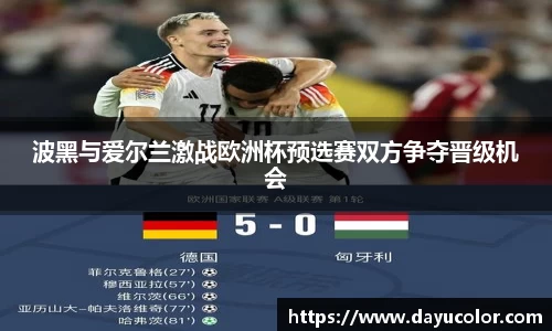 波黑与爱尔兰激战欧洲杯预选赛双方争夺晋级机会